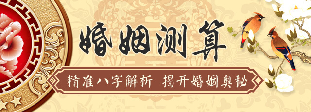 八字算命,生辰八字免费算命Logo